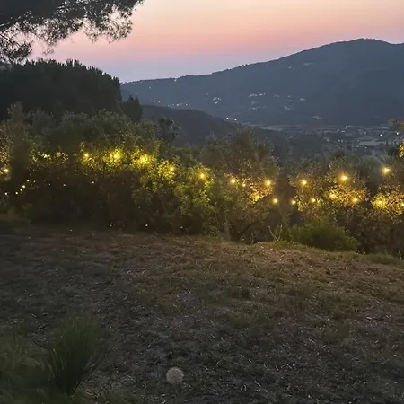 Lüks kamp alanı Le Piane Agriglamping *
