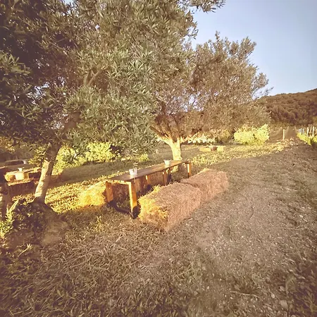 Le Piane Agriglamping *
