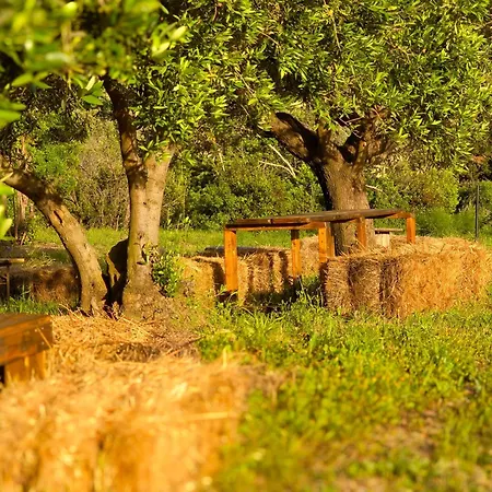 Lüks kamp alanı Le Piane Agriglamping *