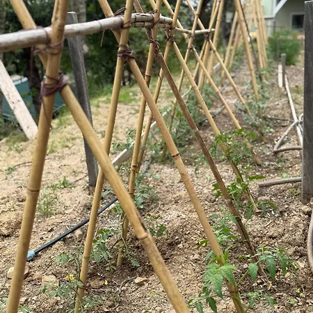 Le Piane Agriglamping Le Foci